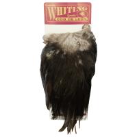 sedlo-petuha-polovina-whiting-coq-de-leon-bronze-saddle-black