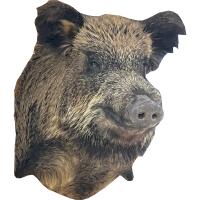 chuchelo-golova-kabana 1