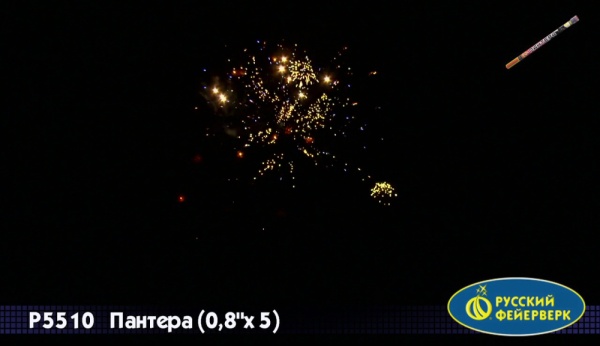 rimskaya-svecha-pantera-1