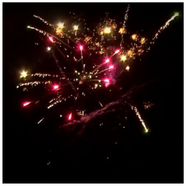 batareya-salyutov-gulyaj-student-rs6370-0-8-19zalp-5ehff 3