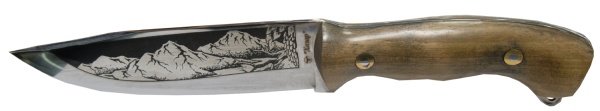 nozh-berkut-hazar-65h13-derevo-kozha 2